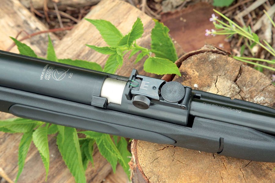 Test: Luftgewehr GAMO CF-X Kimme GAMO CF-X