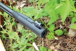 Test: Luftgewehr GAMO CF-X Korn GAMO CF-X
