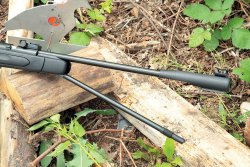 Test: Luftgewehr GAMO CF-X Spannhebel GAMO CF-X