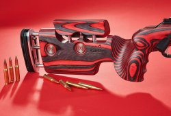 Hinterschaft der Unique Alpine F-Class 