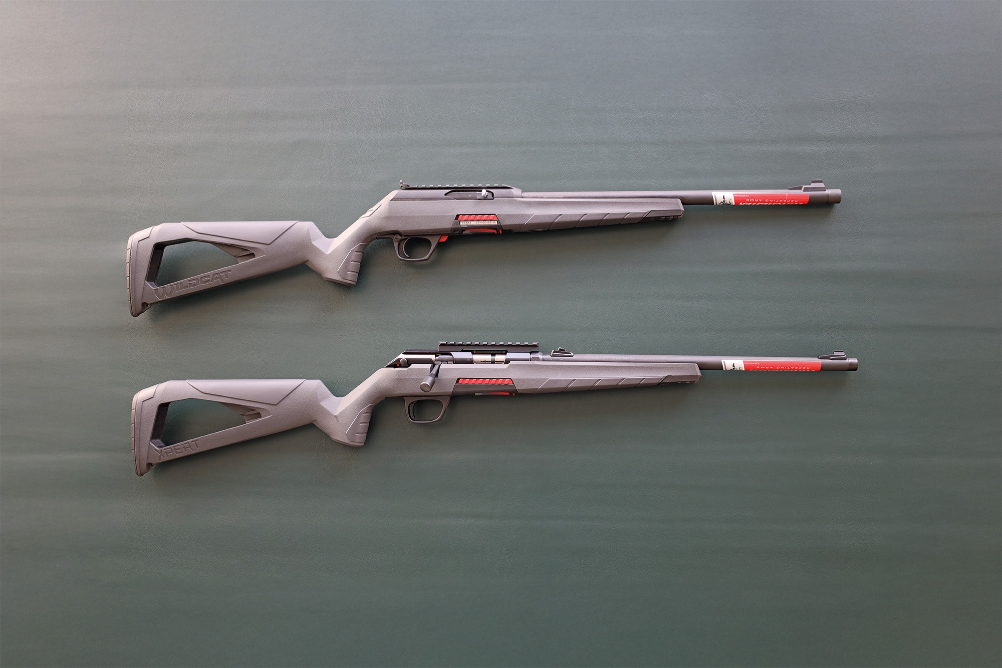 AKAH: Winchester Xpert Composite und Wildcat Threaded − die Repetier- und die Selbstladebüchse in .22 l.r. im Praxistest