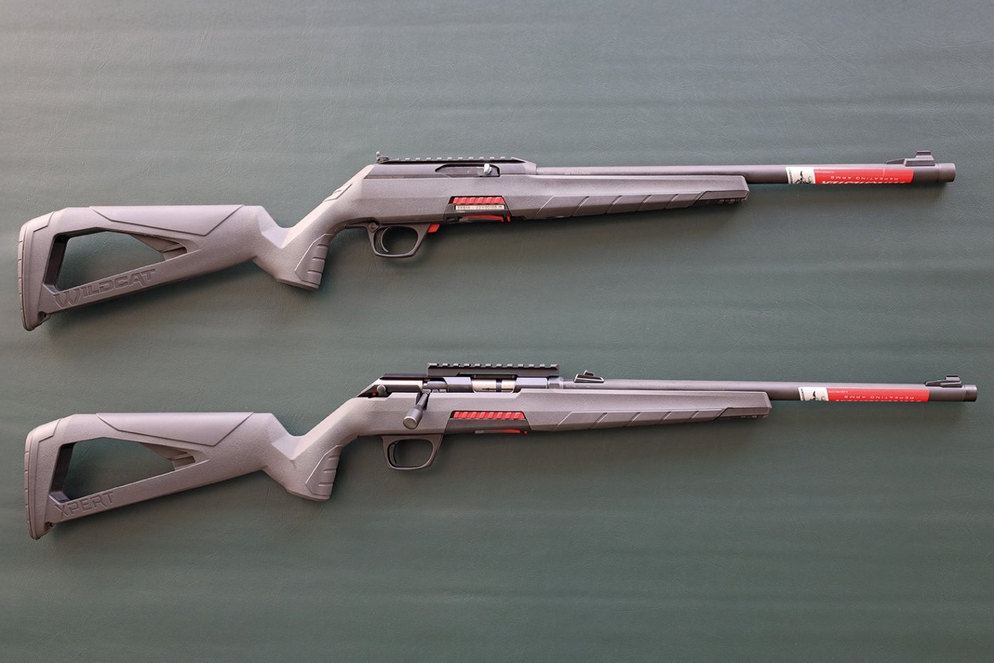 Winchester Xpert und Wildcat in .22 l.r.: Repetier- und Selbstladebüchse im Test Repetierbüchse Winchester Xpert und die Selbstladebüchse Winchester Wildcat.