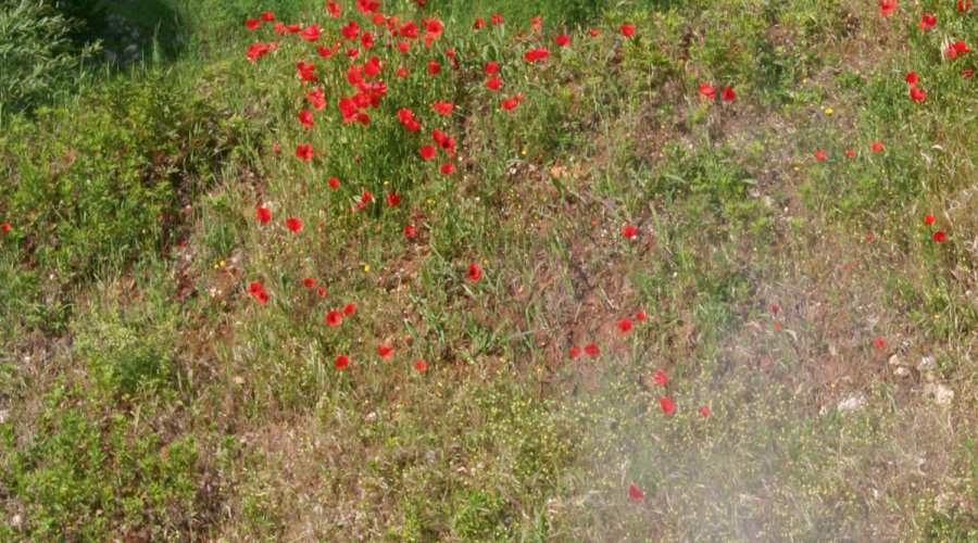 "Tactical Shotgun" Kurs bei der BENELLI Academy