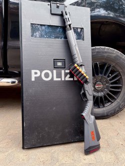 Savage Arms-Flinte Renegauge Security mit 18,5“-Lauf