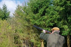 Test: Beretta Sporting-Flinten im Vergleich mit Blaser und Browning Schütze mit Sporting-Flinte Blaser F16 beim Wurftauben-Schießen