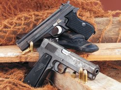 VIS Radom in 9mm Luger: Ein unterschätzter Pistolenklassiker aus Polen SIG P210 und VIS Radom im vergleich.