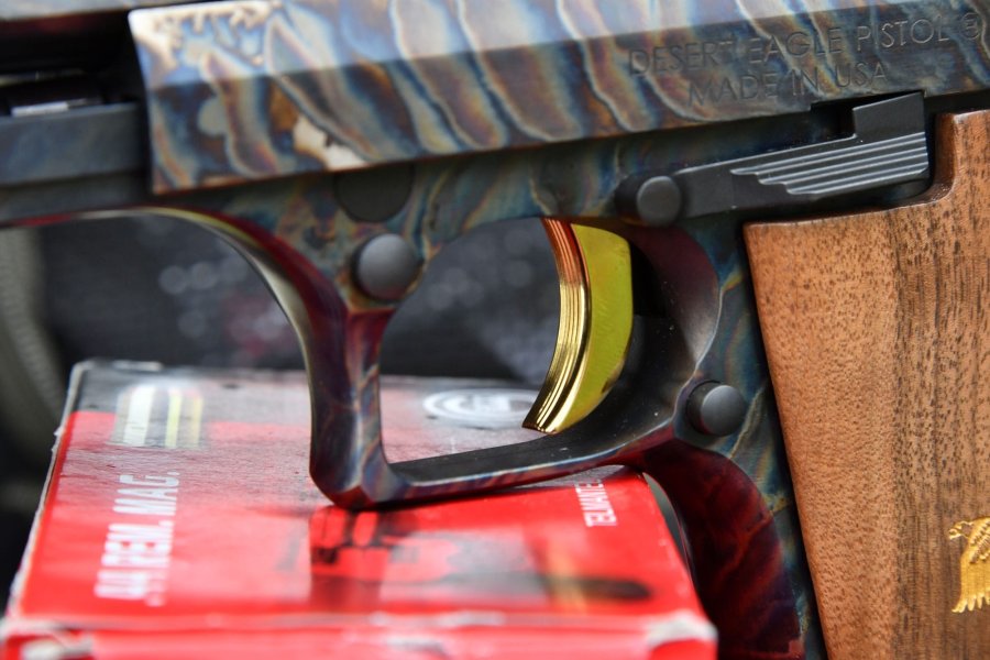 Magnum Research Desert Eagle XIX 6" Case Hardened in .44 Magnum REI_4214-min.jpg