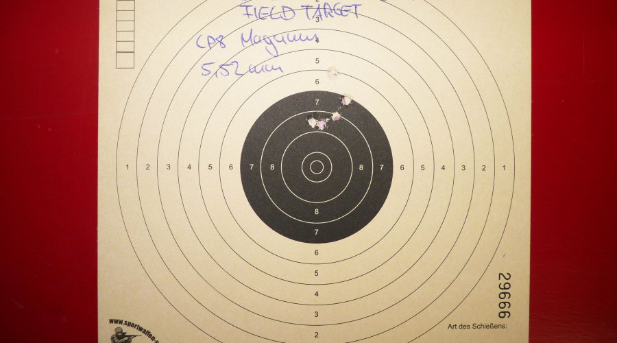 Luftpistole DIANA LP8 Magnum im Schusstest mit JSB Exact Jumbo Field Target Diabolos
