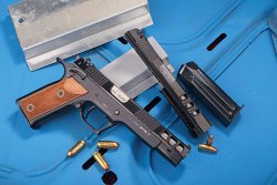 Großkaliber-Sportpistolen für Einsteiger: Worauf kommt es an? Großkaliber Sportpistolen Pardini GT45 in .45 ACP