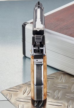 Janz Alpha in 9 mm Para von hinten