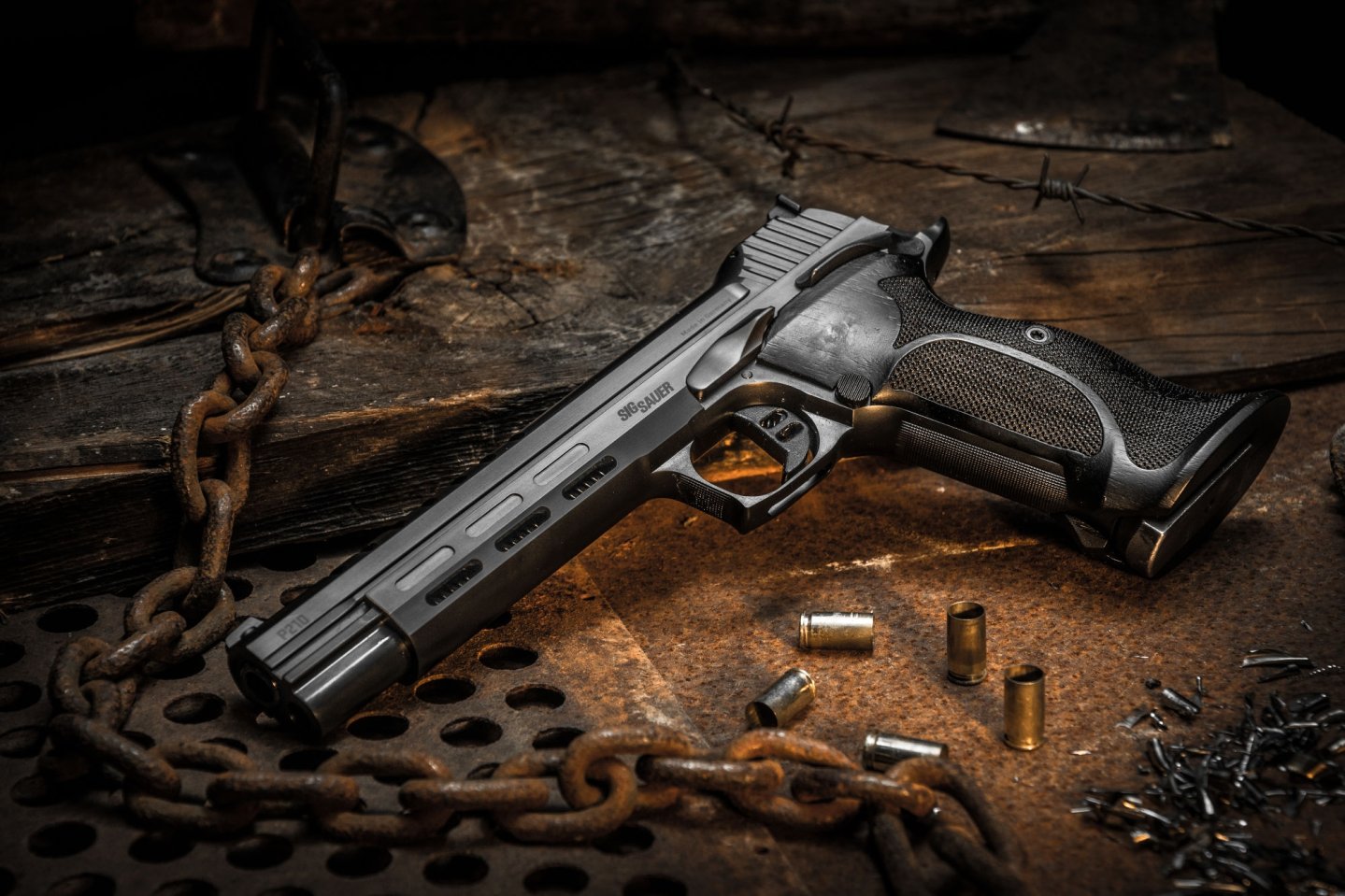 P210 Skeleton in der Komplettansicht.