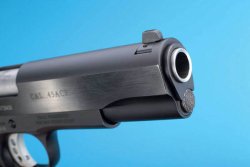 Test Sport: Tanfoglio Witness 1911 Sport Der Lauf der Waffe