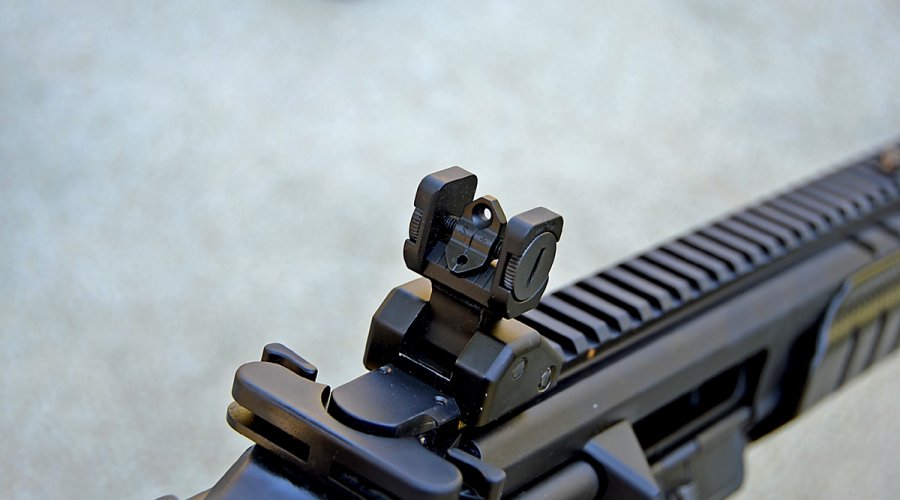 Test: Sturmgewehr MCX und Maschinenpistole MPX von SIG Sauer