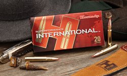 Büchsenpatrone .30-06 Springfield: Universalkaliber für Jagd und Sport Büchsenpatrone Hornady Superformance im Universalkaliber .30-06 Springfield