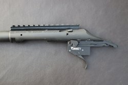 Ruger American Rimfire  mit Prismenschiene und Montageschiene