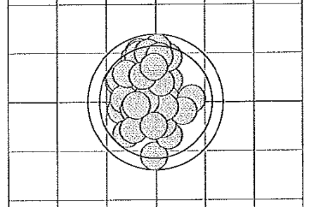 RWS startet zwei neue Laborierungen für den Biathlon Sport Streukreistest des Mitbewerbers.