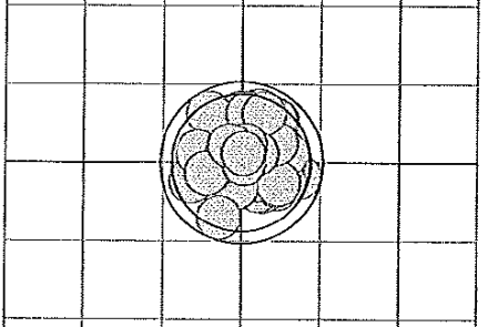 RWS startet zwei neue Laborierungen für den Biathlon Sport Streukreise der Biathlon Competition.
