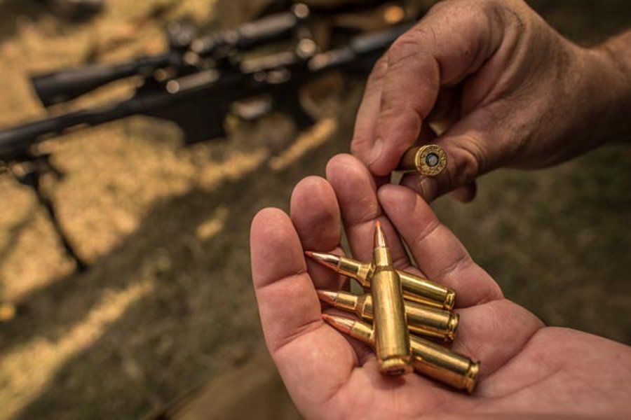 Neues Gewehrkaliber: Federal Premium .224 Valkyrie Long-Range-Patrone .224 Valkyrie