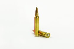 Ammunition: the .223 Remington caliber Ammunition: the .223 Remington caliber