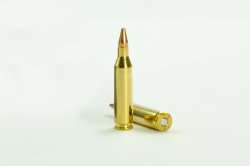 Ammunition: the .243 Winchester caliber Ammunition: the .243 Winchester caliber