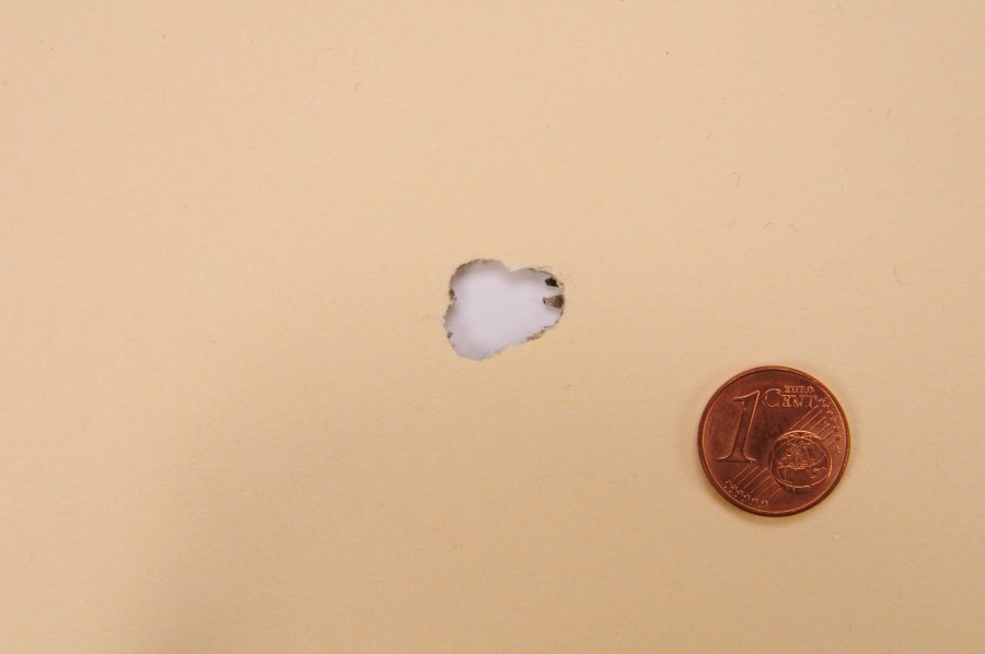 Test: RWS Target Elite Plus in .308 Winchester Schussleistung RWS .308 Winchester Target Elite Plus