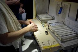 70 Jahre Steiner Optik - Zielfernrohre Made in Germany Kontrolle der Linsen eines Zielfernrohrs