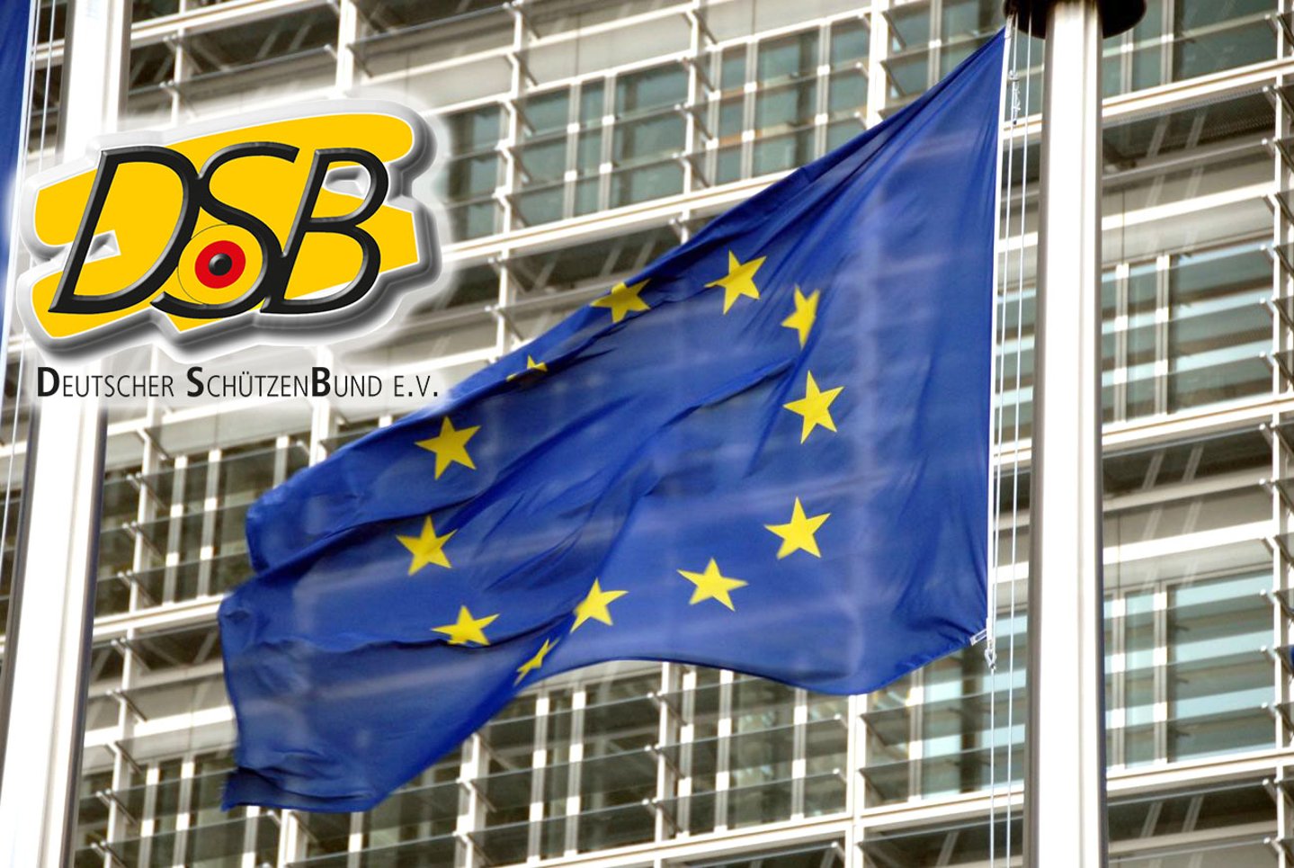 Pläne der EU Europafahne mit Logo DSB