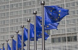 Firearms United: action against the EC's white paper on guns! Firearms United: action against the EC's white paper on guns!