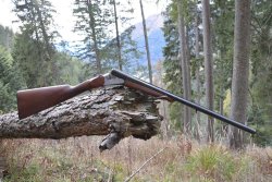 Gestohlene Waffen in Deutschland VDB Büchse mit Wald im Hintergrund
