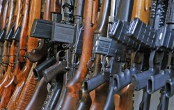 Transcrime: FIRE-Bericht im Internet veröffentlicht Waffen aufgereiht