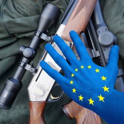 EU-Waffenrecht: Petition gegen EU-Waffenverbote Eine Hand greift nach Waffen