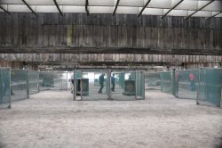 Update: GECO IPSC Masters 2022 … trotz herbstlichem Wetter beste Laune auf der Schießanlage Philippsburg Begehung der Stage auf dem Schießstand Philippsburg.