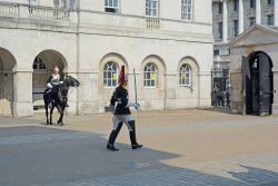 Die Geschichte der britischen Household Cavalry Eine Wache der Household Cavalry mit gezücktem Säbel