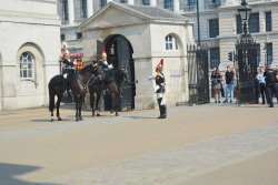 Die Geschichte der britischen Household Cavalry Pferdewechsel am Eingang der Horse Guard