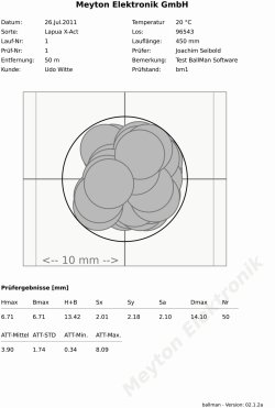 Ballman-Schussbild Meyton