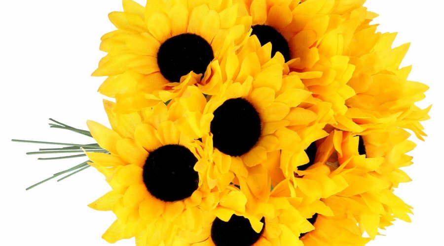 Blumen