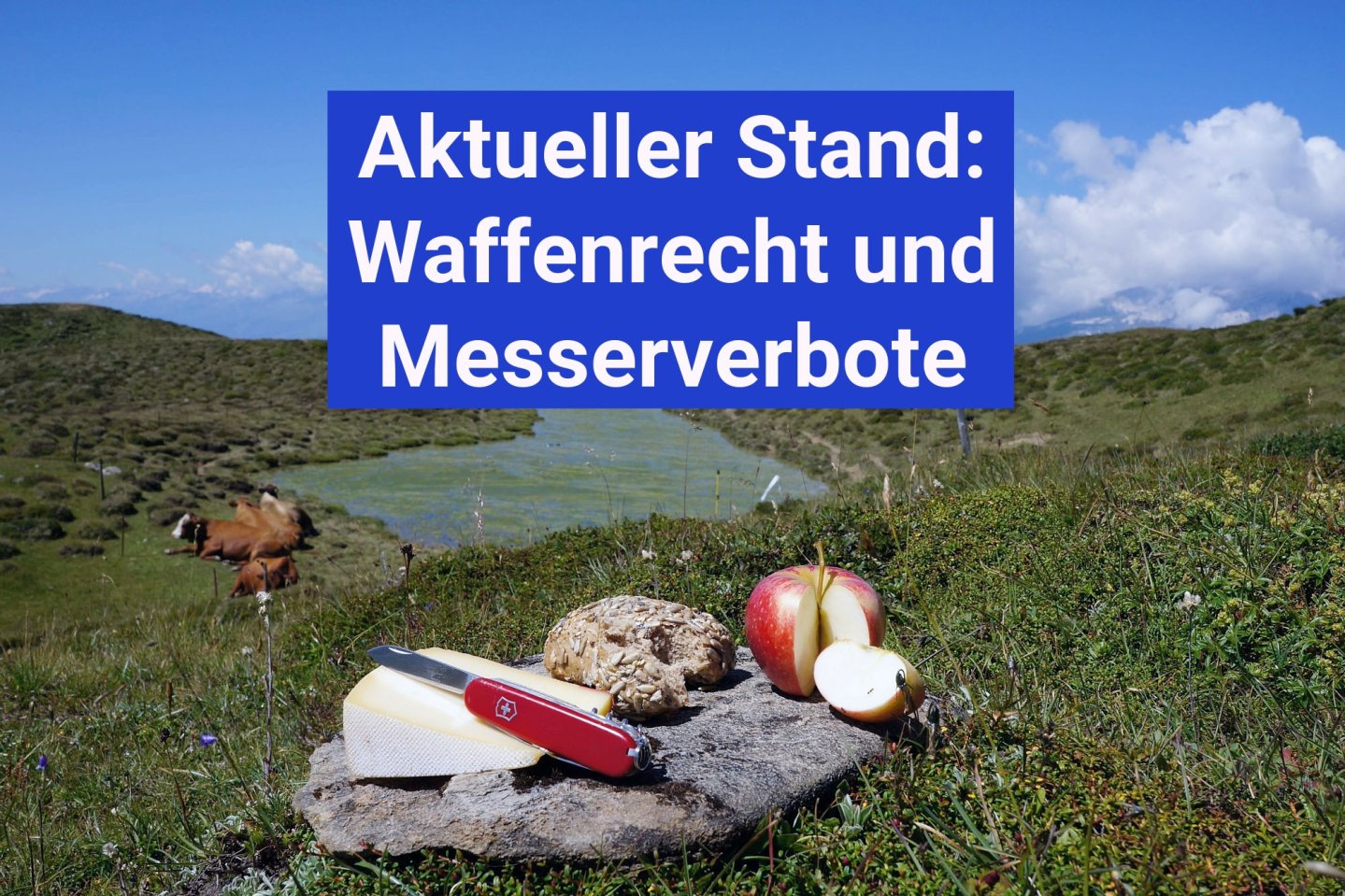 Das "Sicherheitspaket" kommt: Statt Kriminalitätsbekämpfung gibt es nur Verschlechterungen zu Lasten der Allgemeinheit und der Legalwaffenbesitzer Picknick mit Taschenmesser.