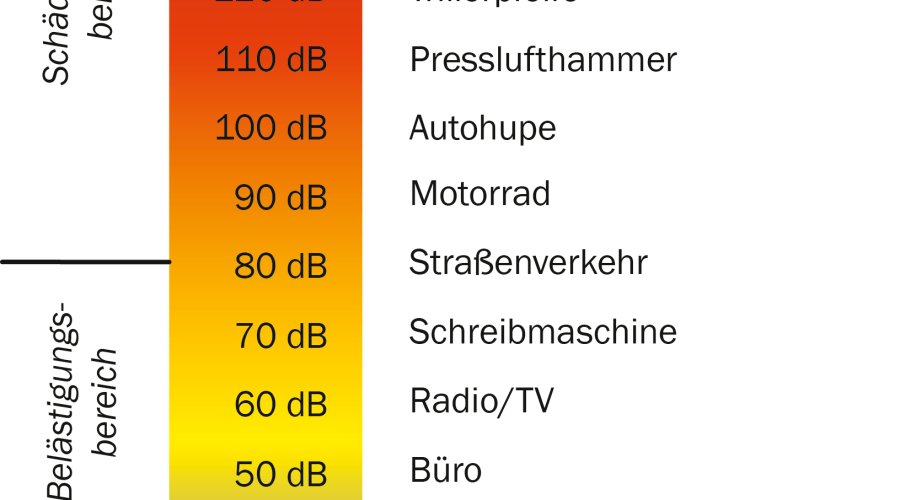 Was passiert im Ohr bei einem Schuss? Was tun Schalldämpfer?