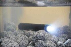 Walther PRO Lampenreihe Walther PRO Lampe unter Wasser