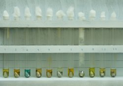 Waffenpflege, Rostschutz Entfernung von Blei - wie? Waffenpflege, Rostschutz Entfernung von Blei - wie?