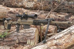 caliber 6/2019 Voere X4 von schräg vorne auf Baumstämmen.