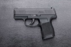 caliber 10/2018: Die P365 ist im Heimatland USA ein extrem erfolgreicher Neuzugang auf dem Markt der Subkompaktpistolen für den Selbstschutz. Sie bietet mit Standardmagazin Platz für 10+1 Patronen in 9 mm Luger. caliber 10/2018: Die P365 ist im Heimatland USA ein extrem erfolgreicher Neuzugang auf dem Markt der Subkompaktpistolen für den Selbstschutz. Sie bietet mit Standardmagazin Platz für 10+1 Patronen in 9 mm Luger.