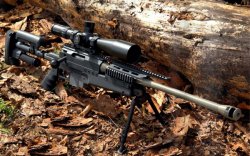 caliber 05/2014 caliber 05/2014