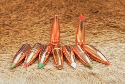 caliber 6/2018 Mehrere Jagdgeschosse auf einem Rehfell.