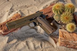 VISIER 6/2019 KIMBER Desert Warrior im Sand neben einem Kaktus.