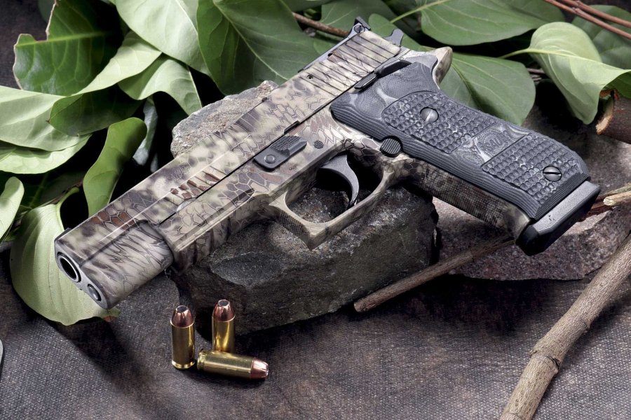 VISIER 11/2018 SIG Sauer P220 Hunter in linker Seitenansicht auf einem Stein liegend.