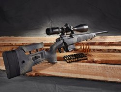 Bergara
