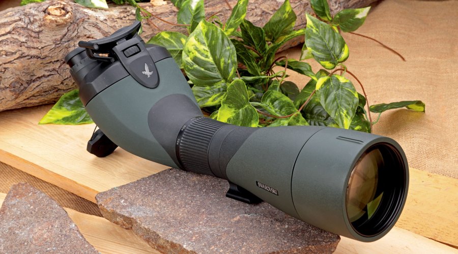 Swarovski BTX-Spektiv auf Steinplatten mit Laub und Baumstamm.