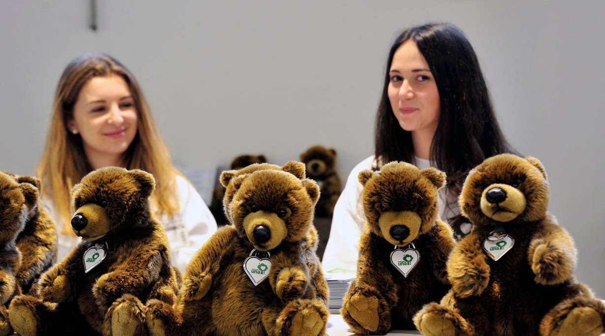 HIT Show 2016 - stand