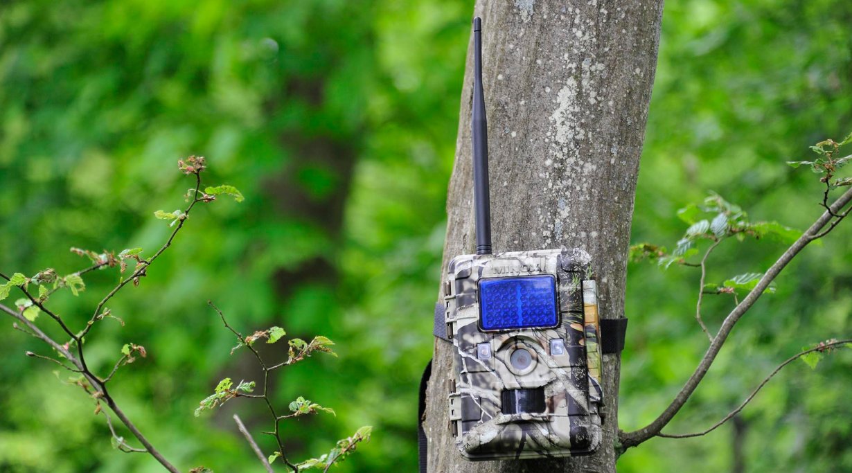 Minox DTC 1100 camo